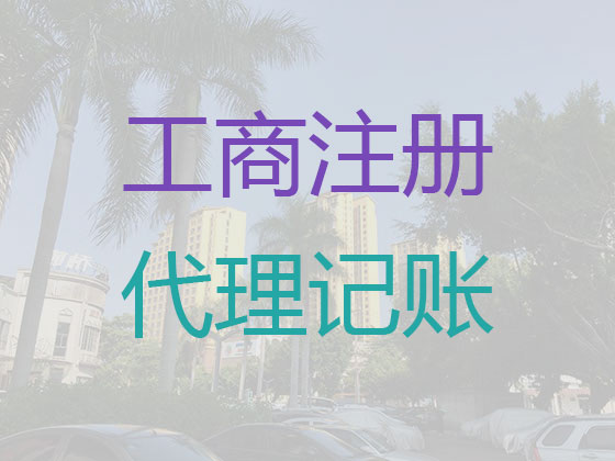 海南公司代理记账联系方式|代理公司记账/做账